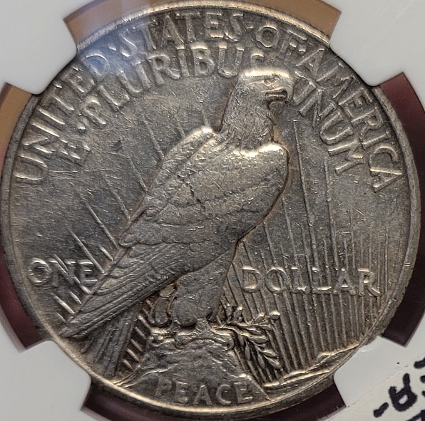 1921 P dollar rev.jpg