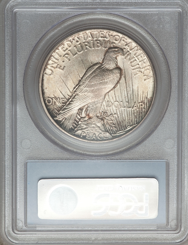 1921 Peace Dollar MS65 PCGS Rev Slab 50231744 800x600.jpg