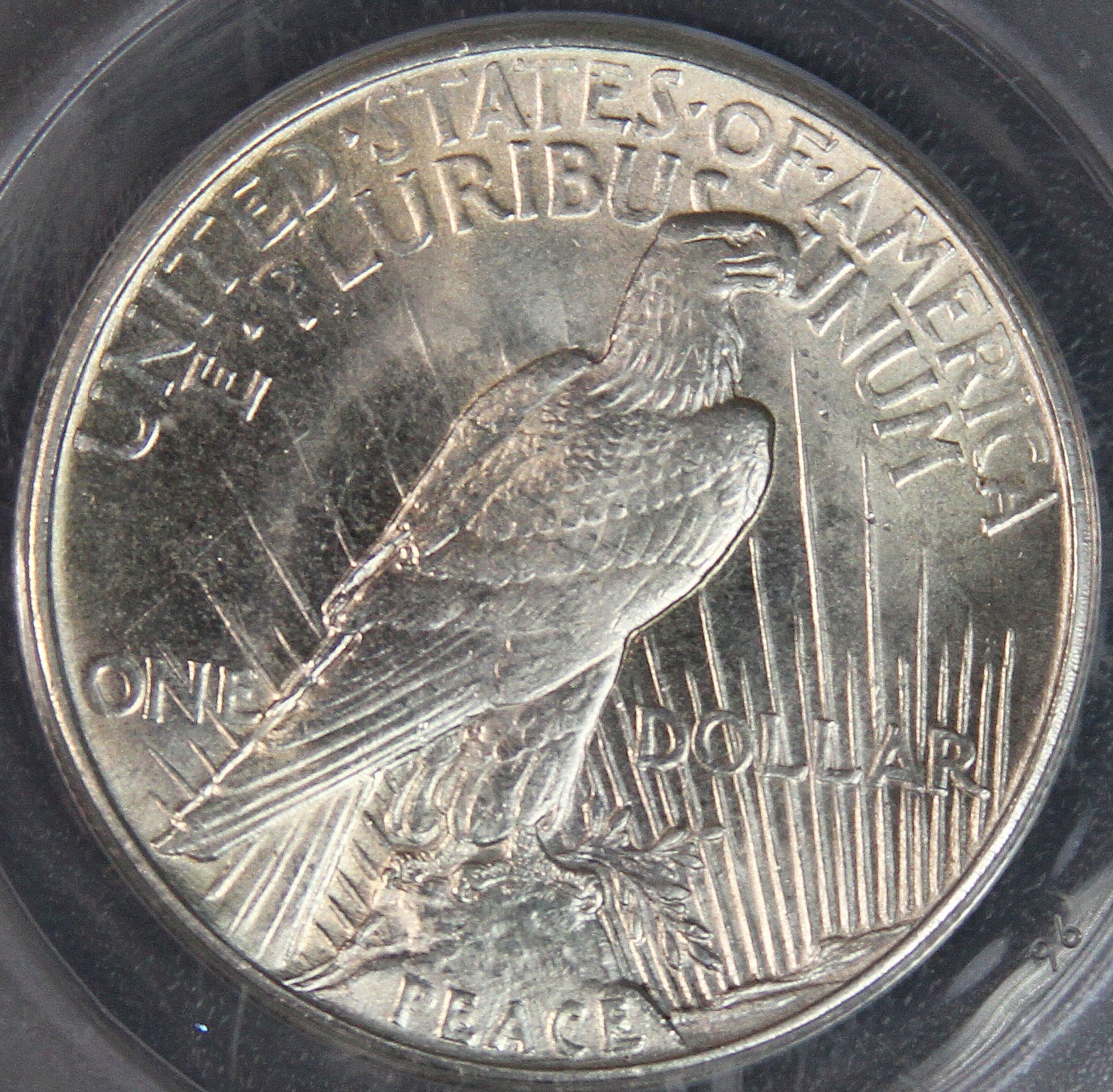1921 Peace dollar reverse.jpg
