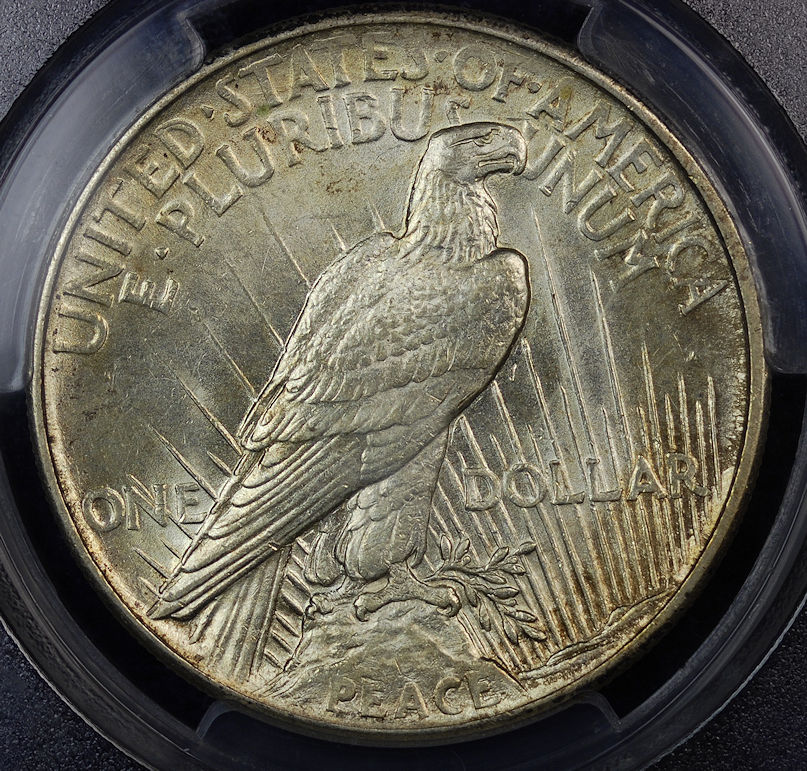 1921 peace pcgs au rev.jpg