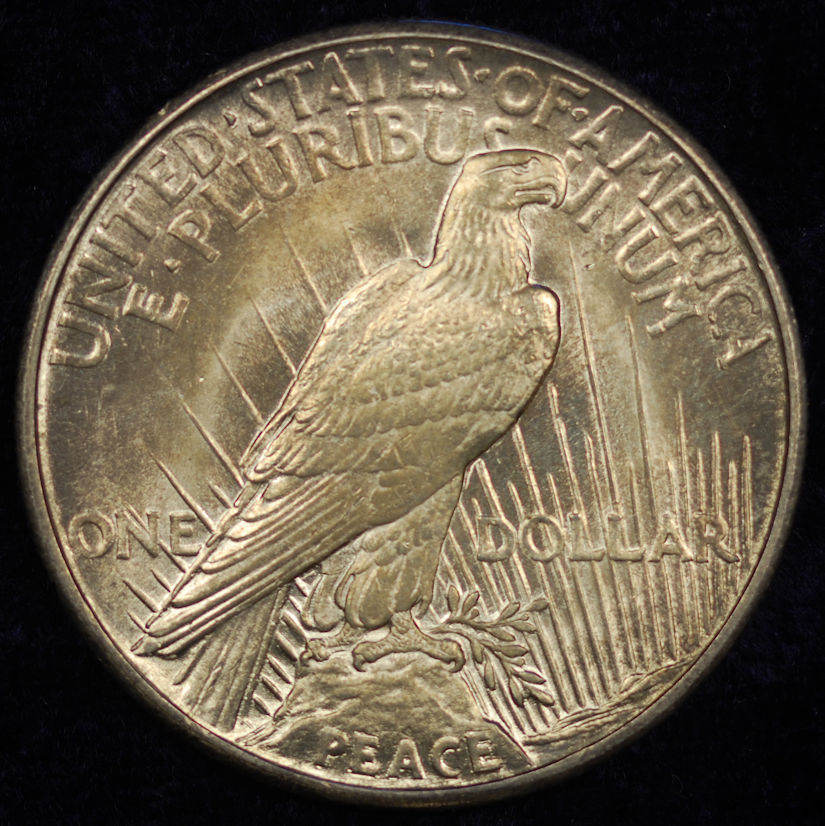 1921 peace, raw, rev.jpg
