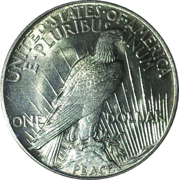 1921 USA Peace Dollar Rev MS62.JPG