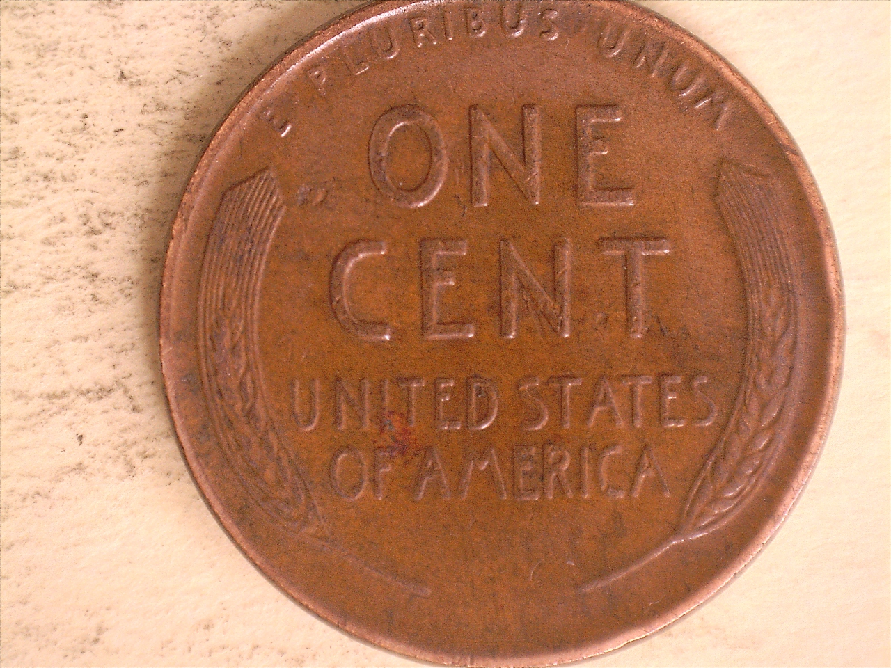 19216114515217.jpg