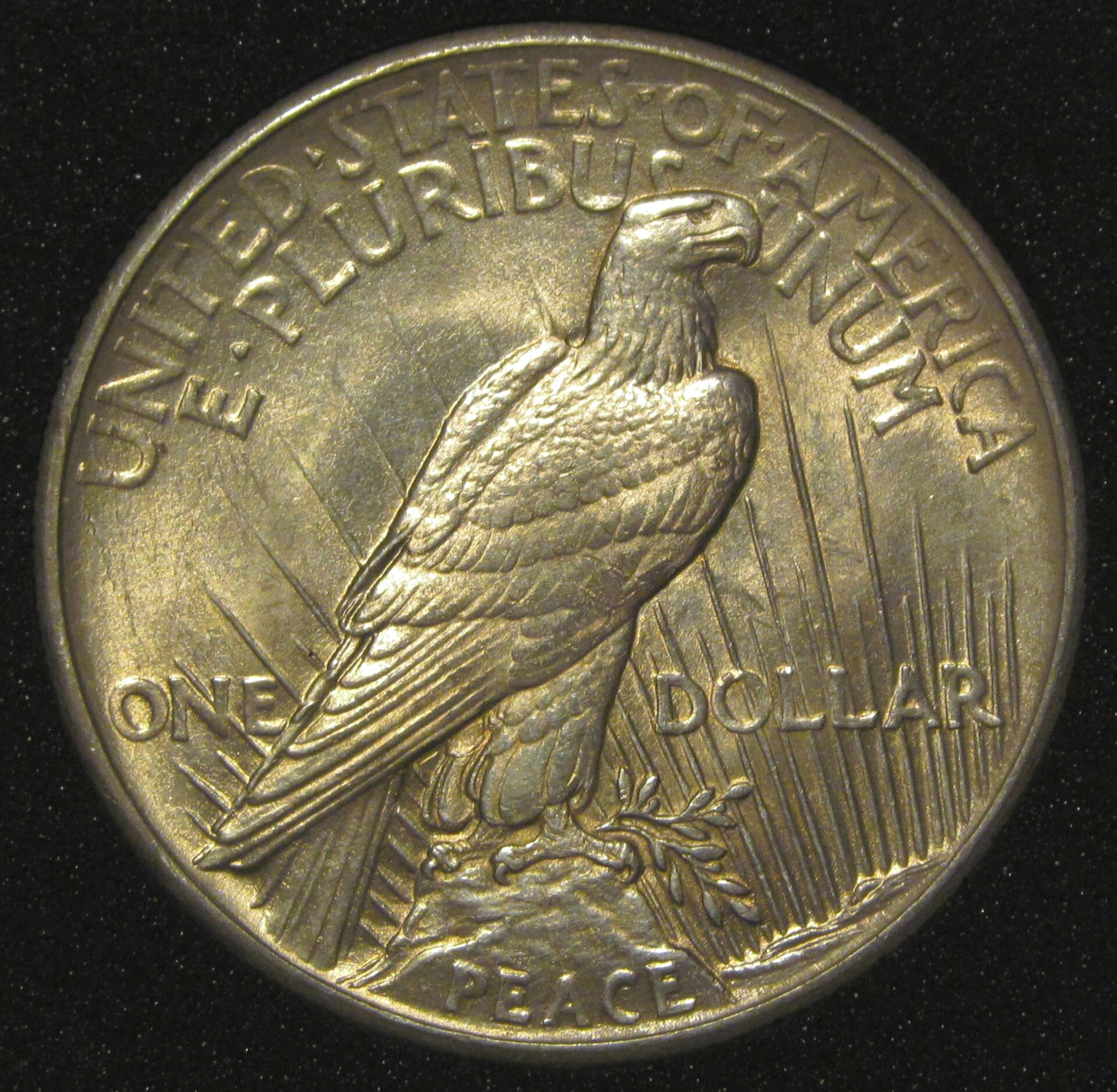 1921PR2.jpg