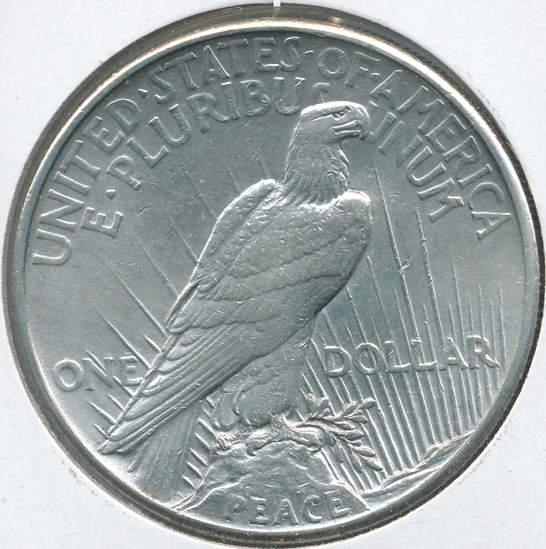 1921rev.jpg