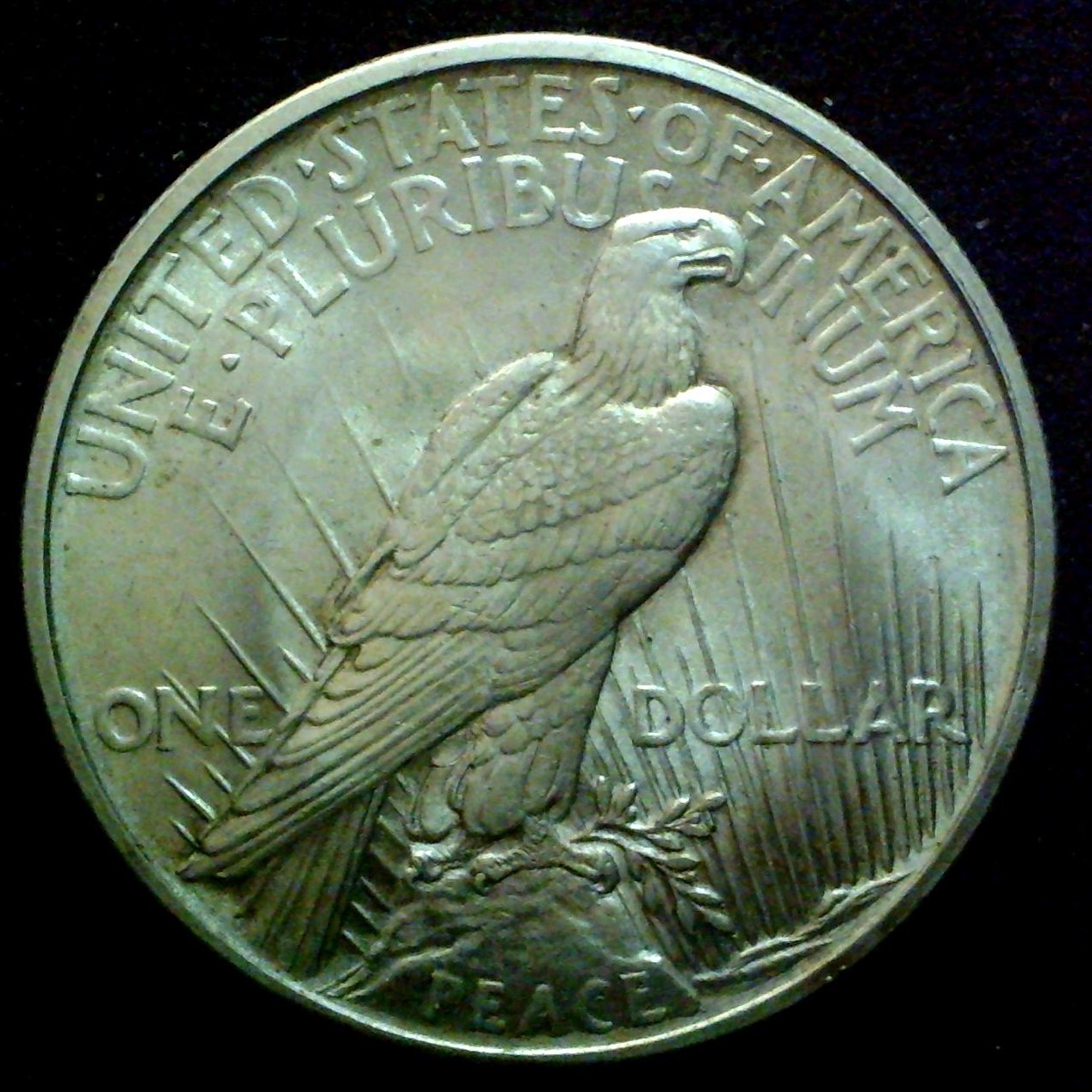 1921rev.jpg
