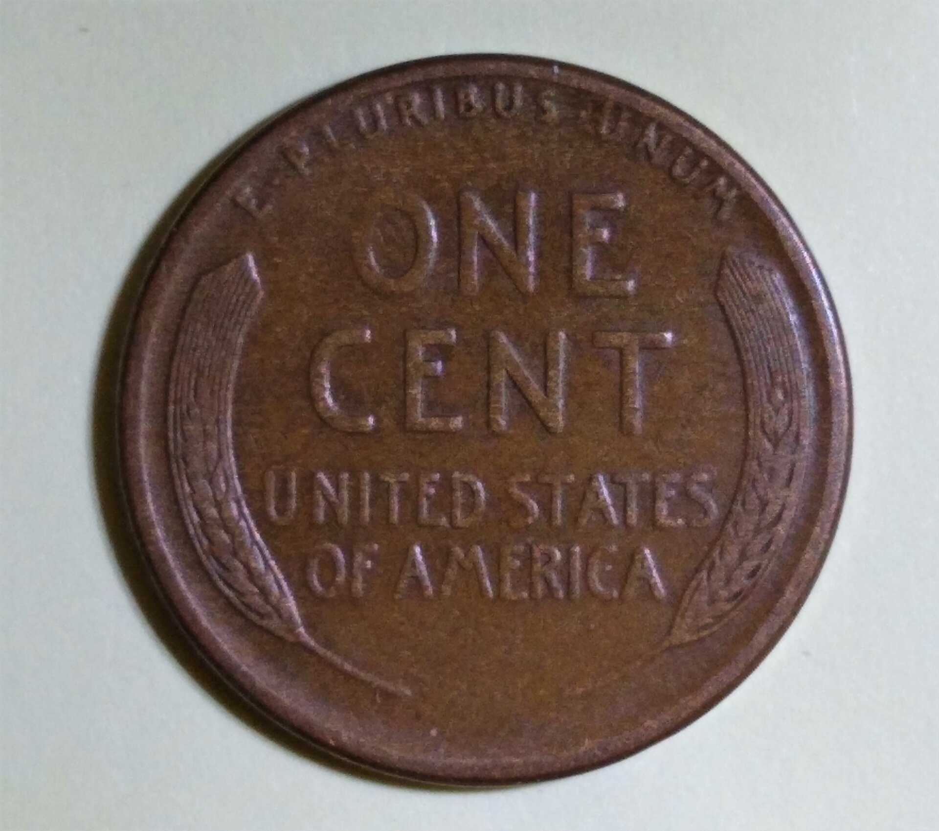 1921sREV.jpg