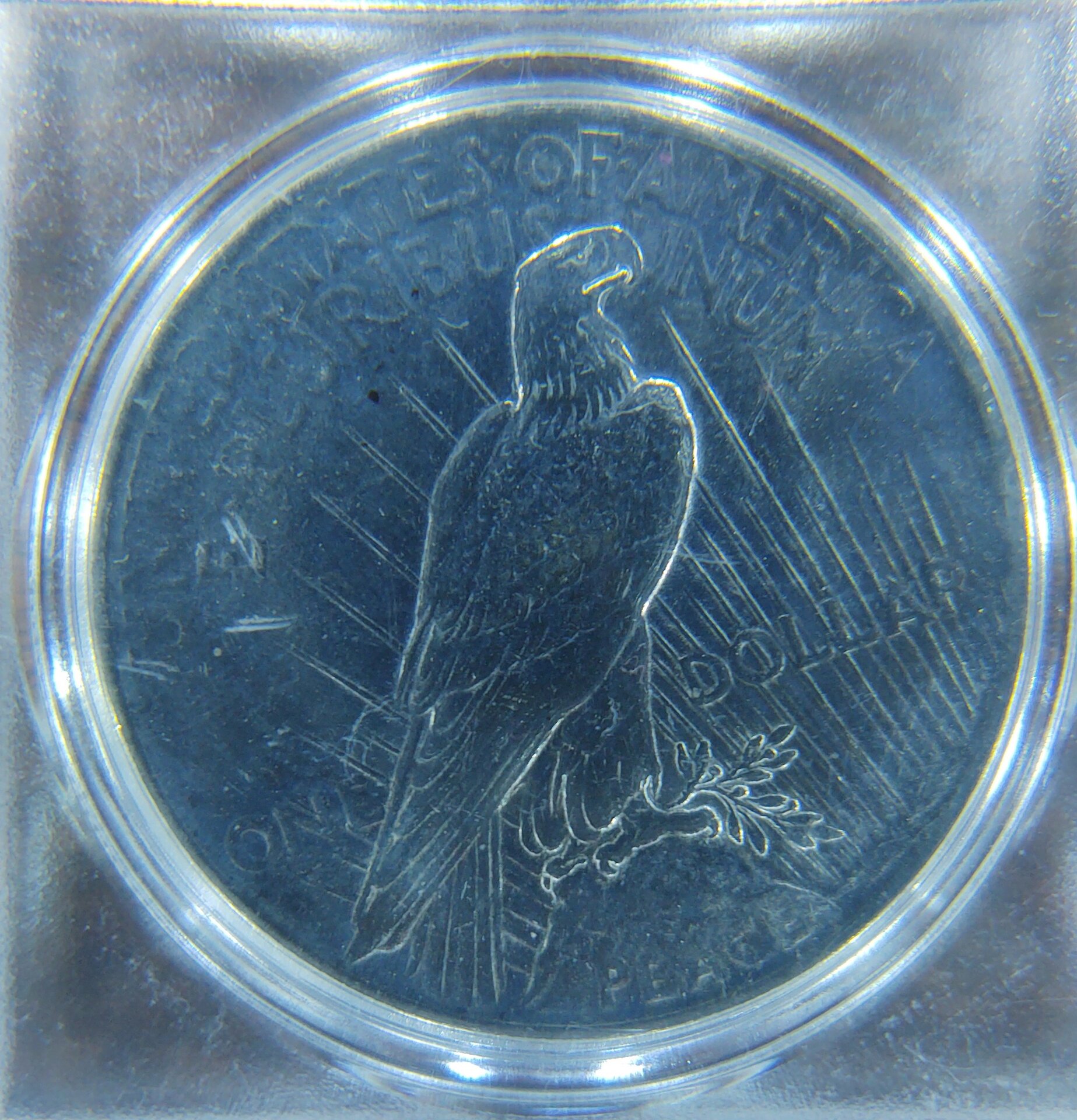 1922 Cleaned Peace Dollar Rev.jpg