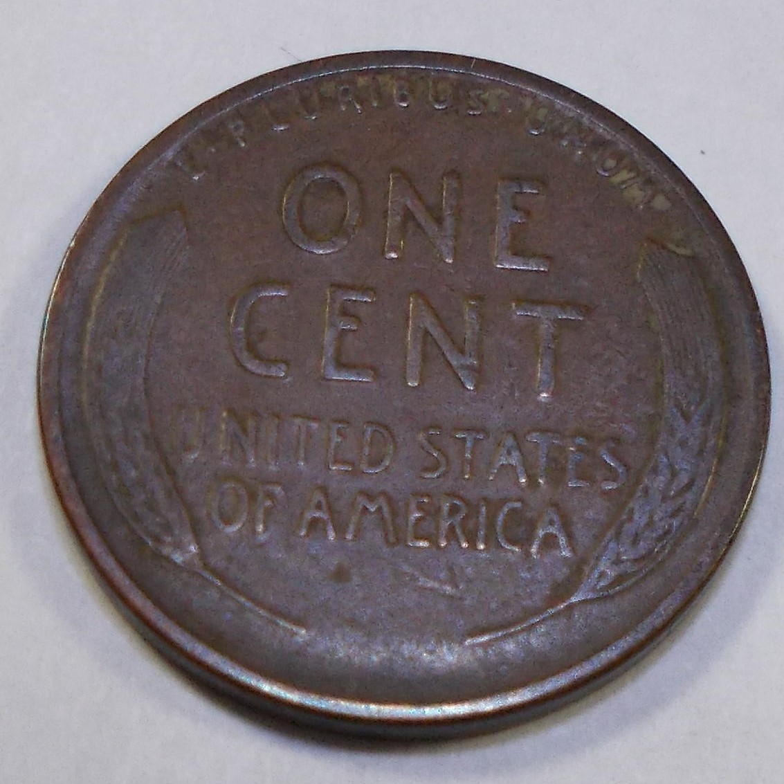 1922-D_R1.jpg