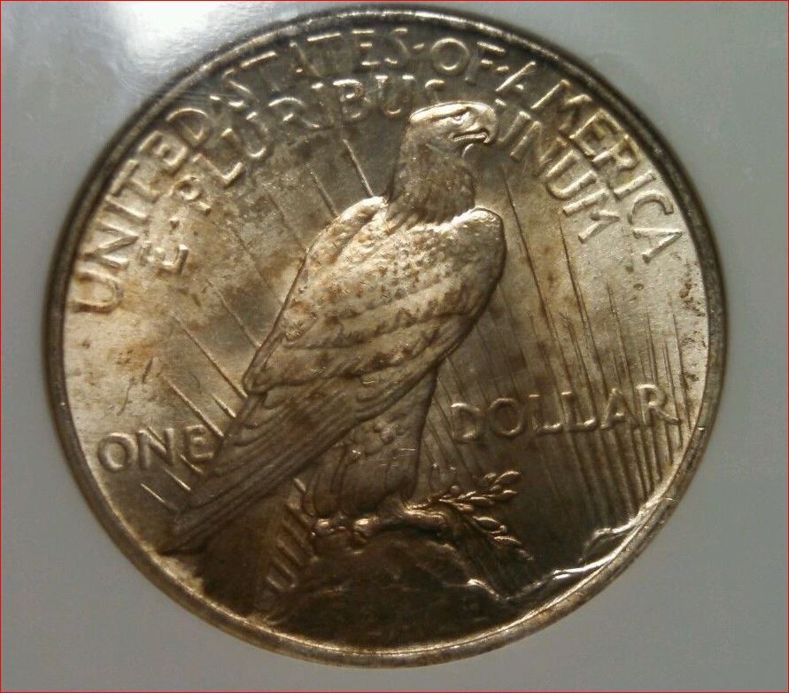 1922 MS 63 Peace Dollar Reverse.JPG