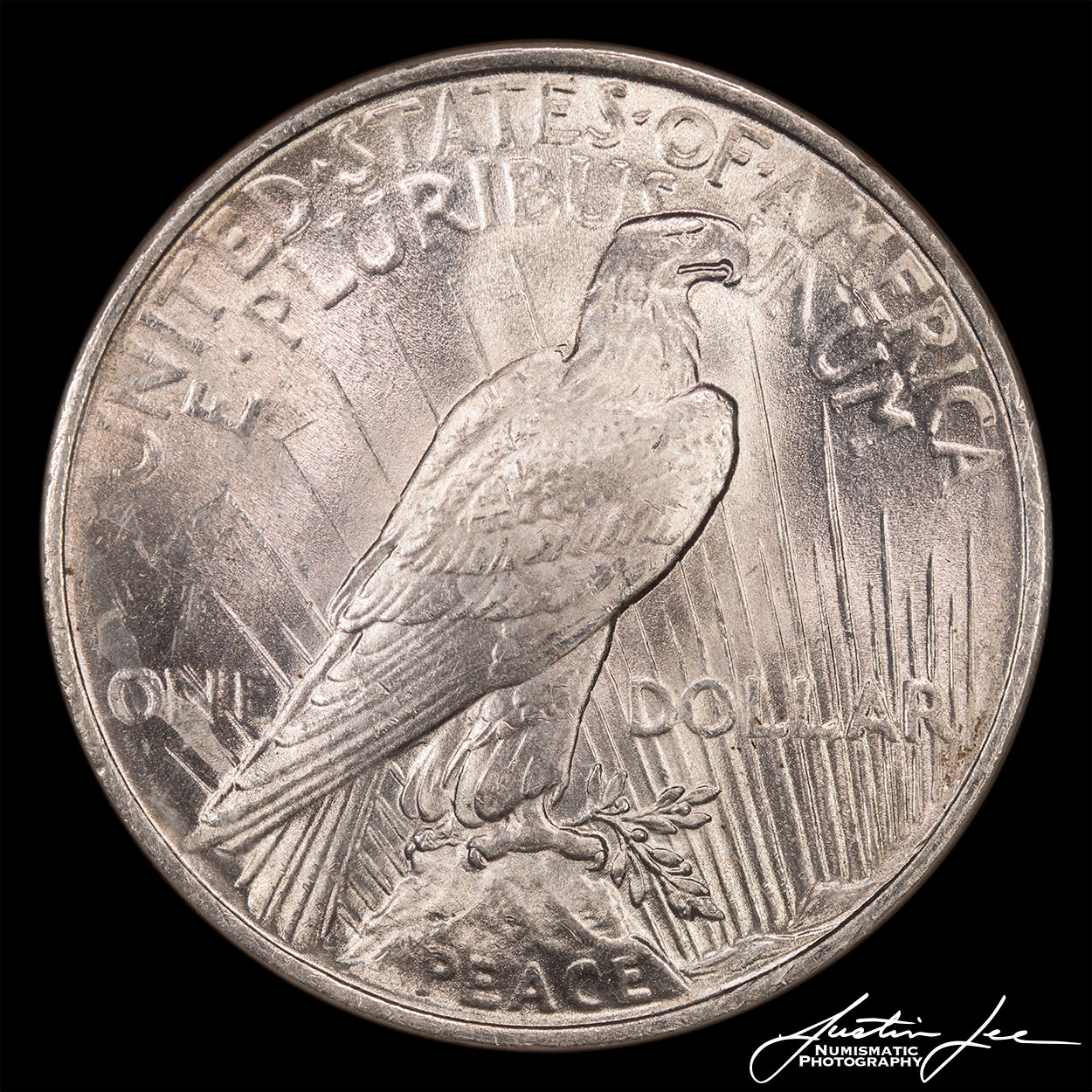 1922-Peace-Dollar-Reverse.jpg