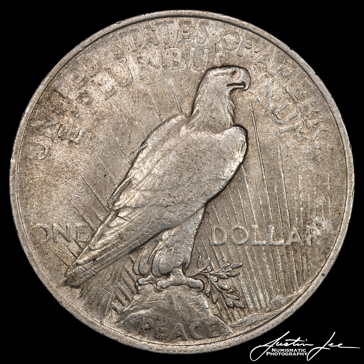 1922-Peace-Dollar-Reverse.jpg