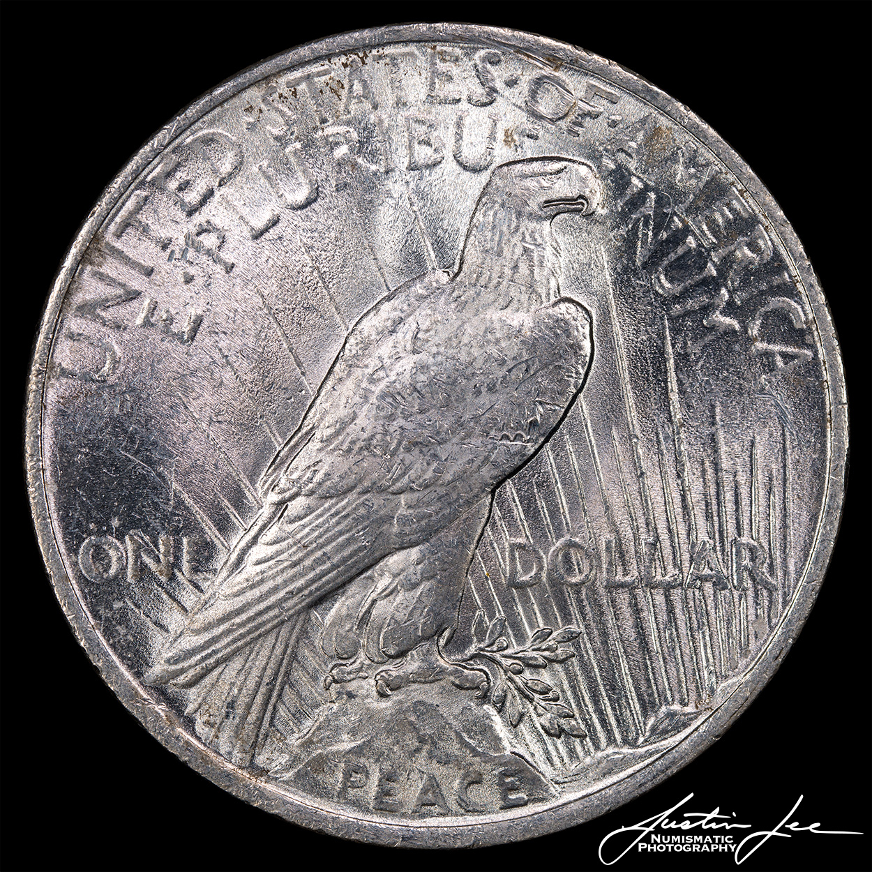 1922-Peace-Dollar-Reverse.jpg