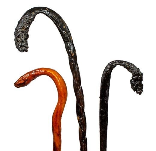 19221077_1_x.jpg