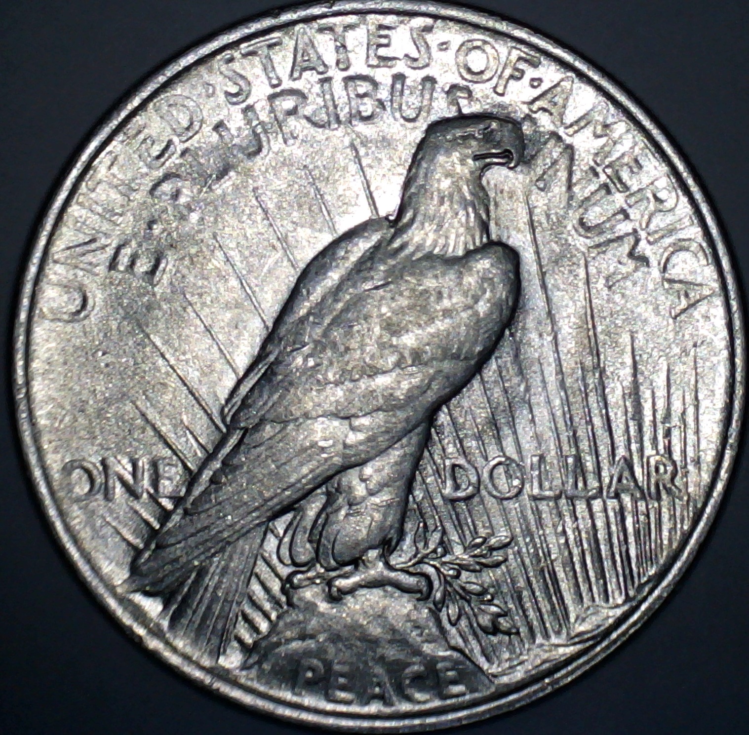 1922 Peace Dollar. Do square rims make a coin a proof? | Coin Talk