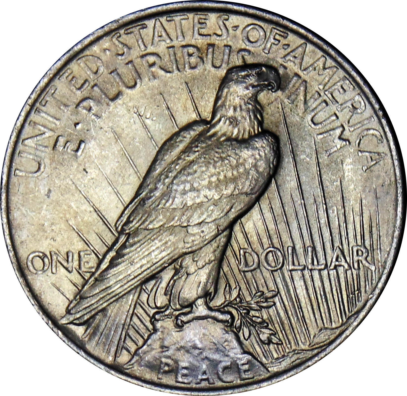 1923-2.jpg