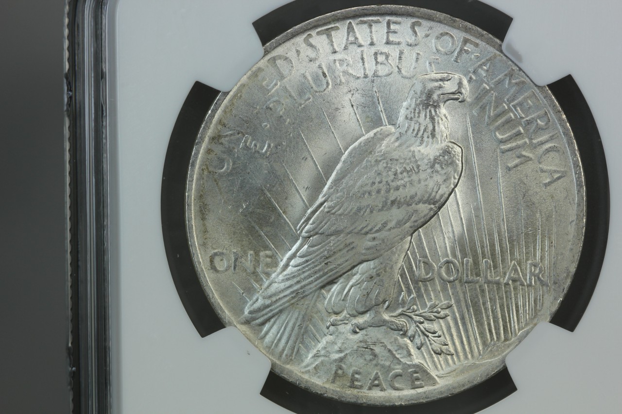1923 Back.JPG