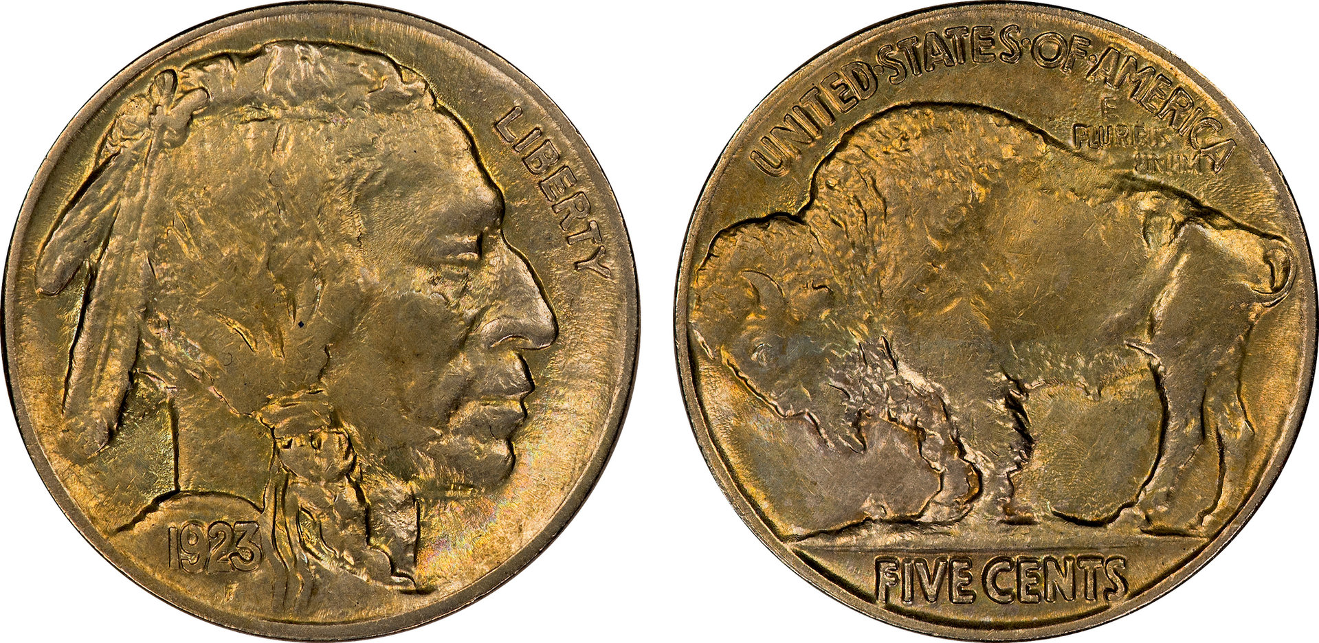 1923 Buffalo Nickel Obverse Die Clash.jpg
