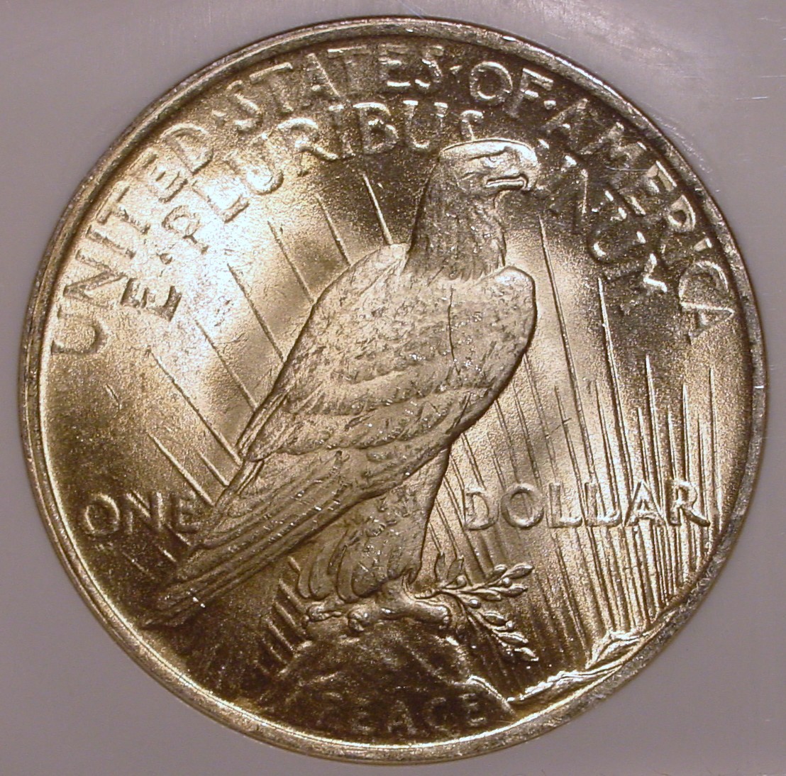 1923 Dollar R.jpg