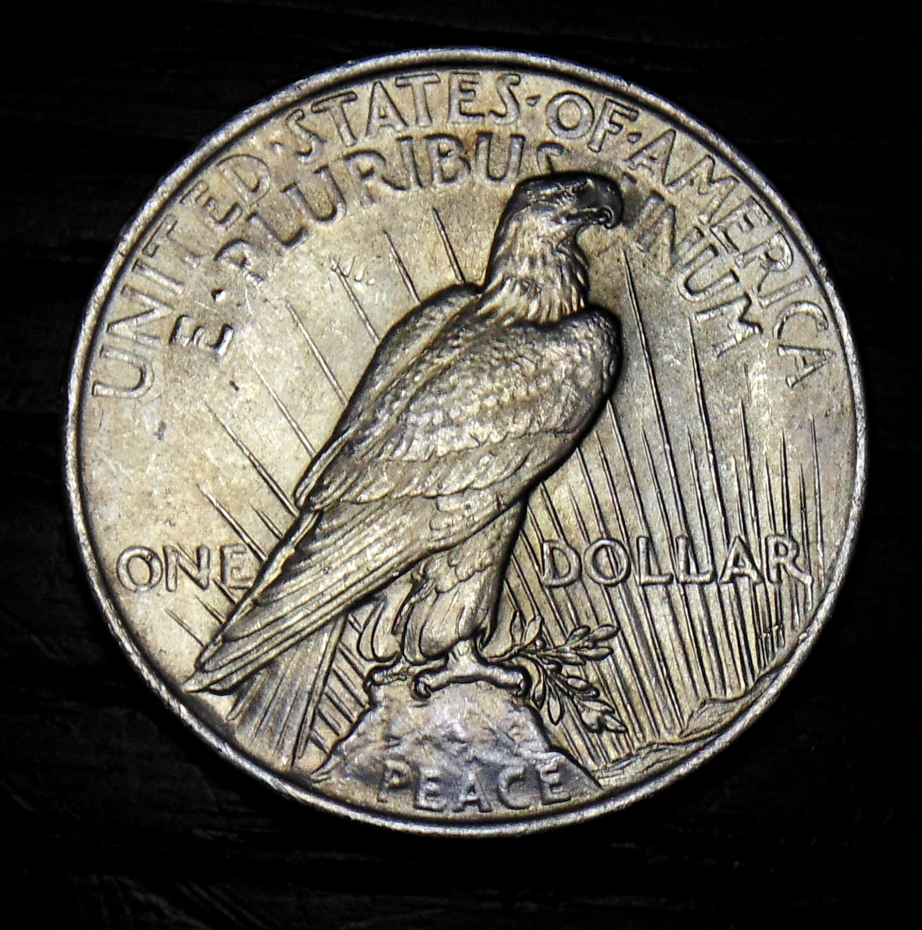 1923.jpg