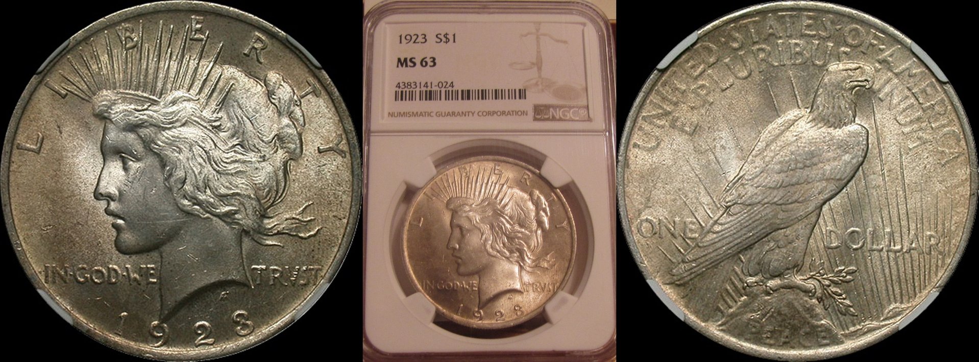 1923 NGC MS63 Toned 1a-horz.jpg