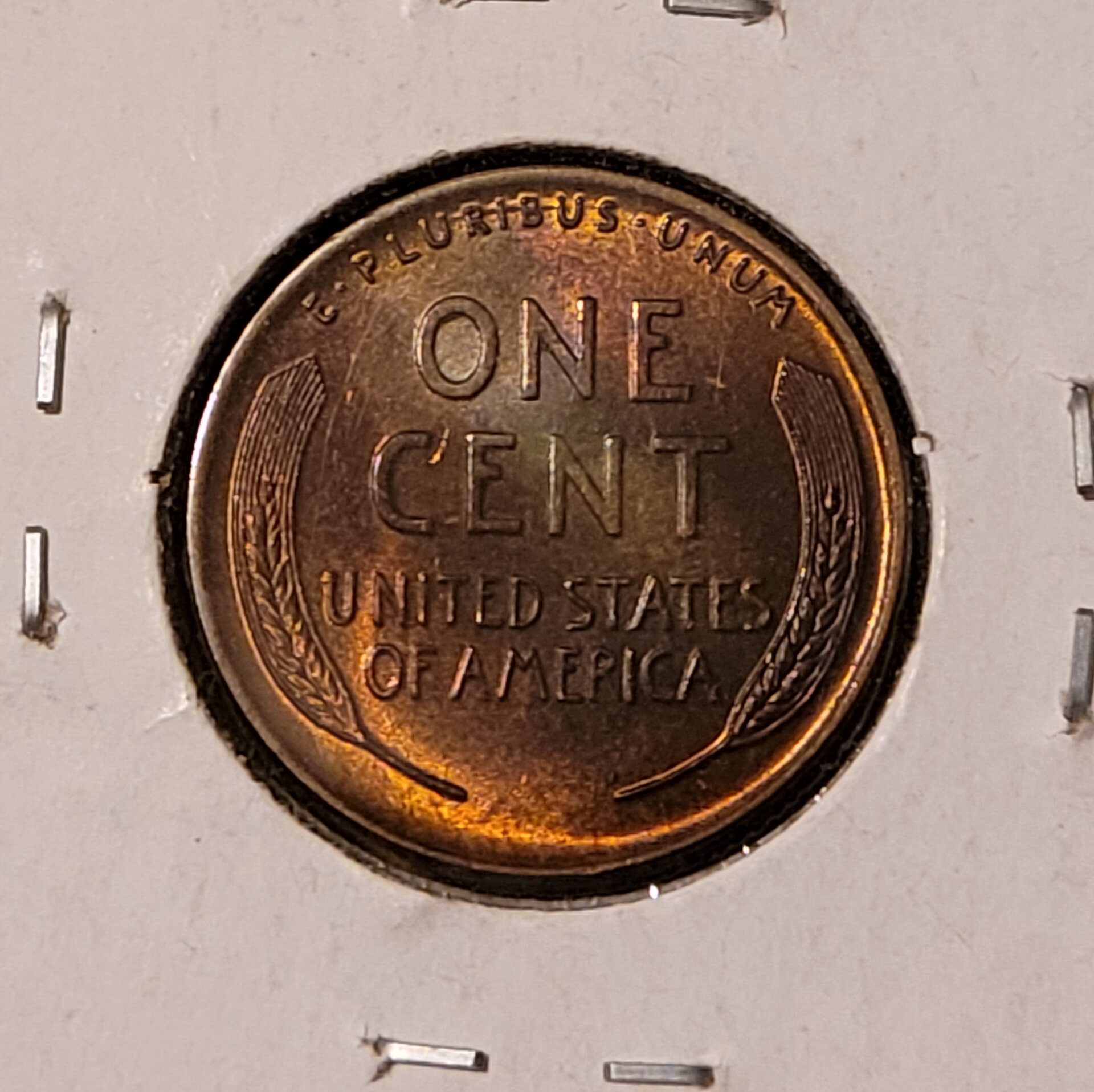 1923 P reverse.jpg
