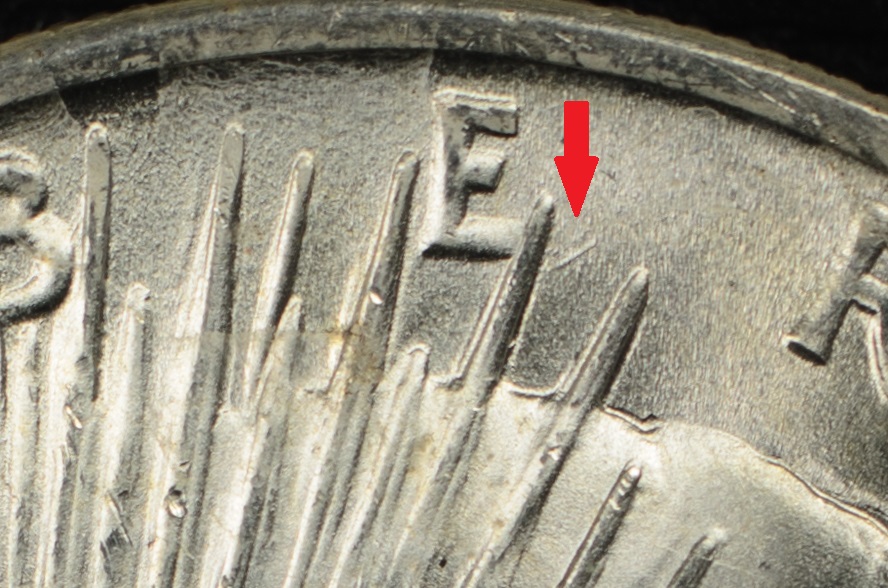 1923-P VAM-1AO Die Gouge Right of E in LIBERTY-097.jpg
