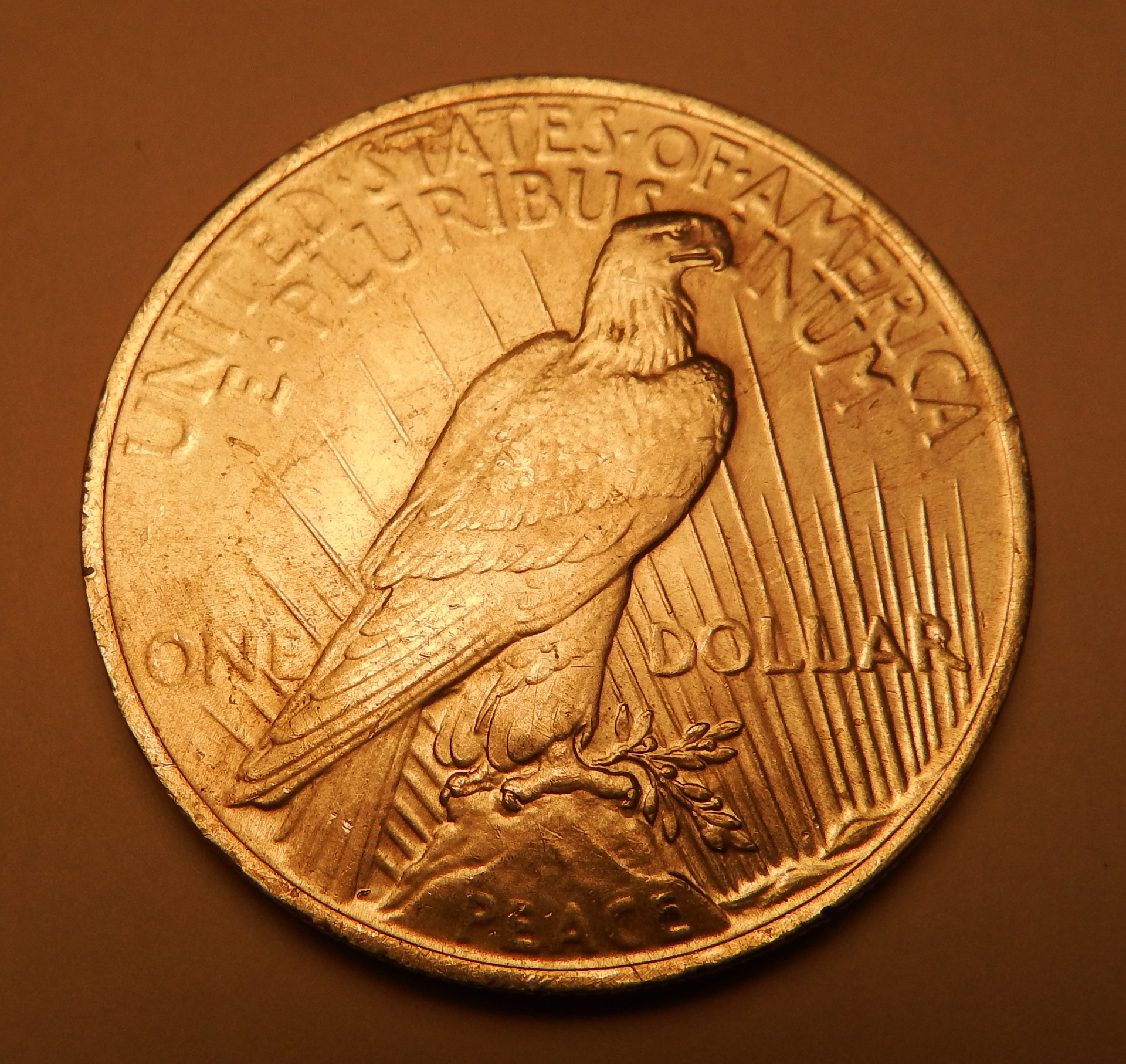 1923 peace dollar 007.jpg