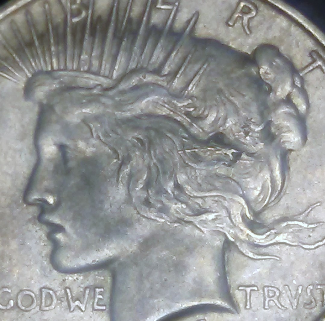 1923 Peace Dollar 2 - Copy.jpg
