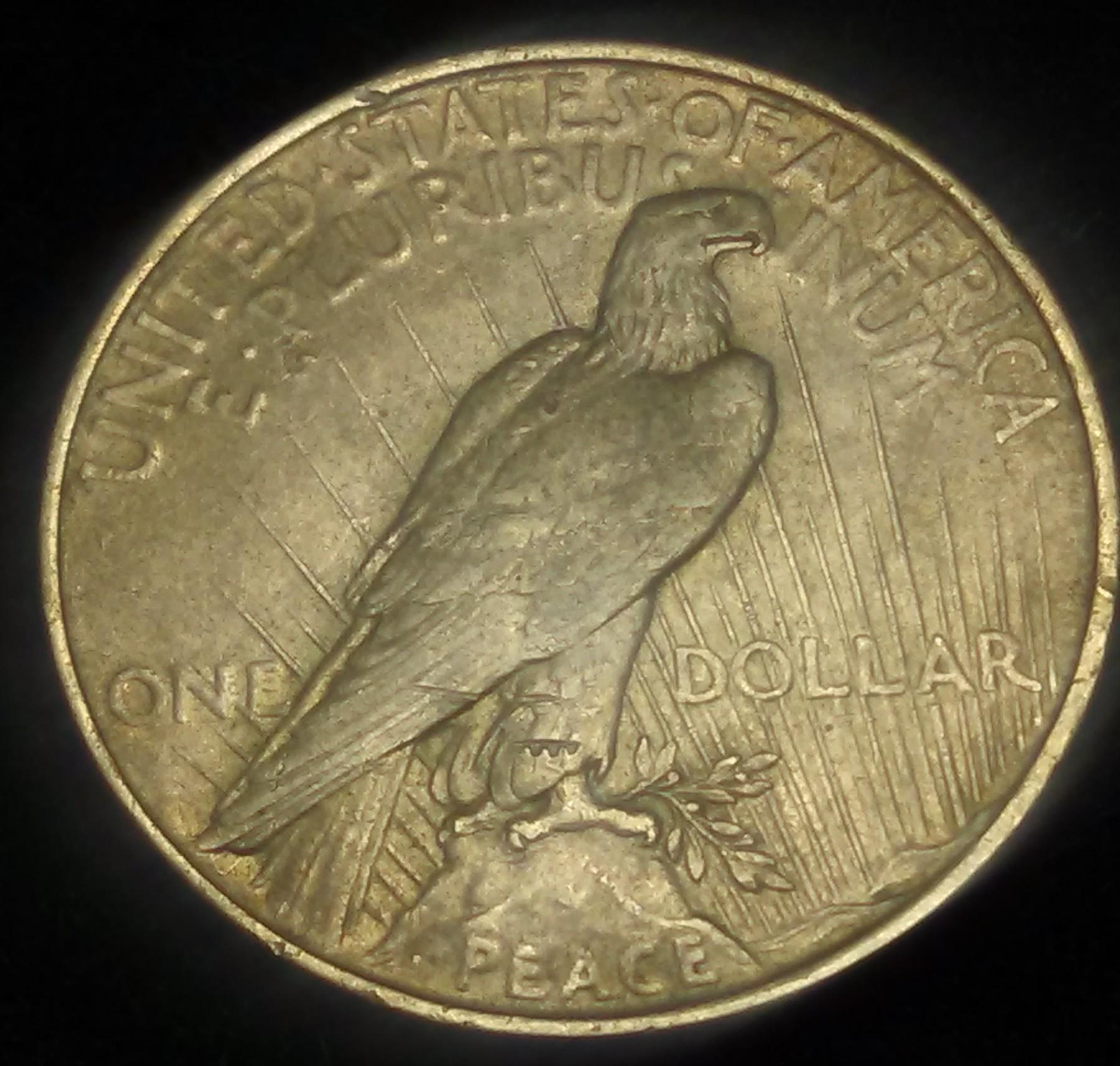 1923 Peace dollar reverse 2.jpg