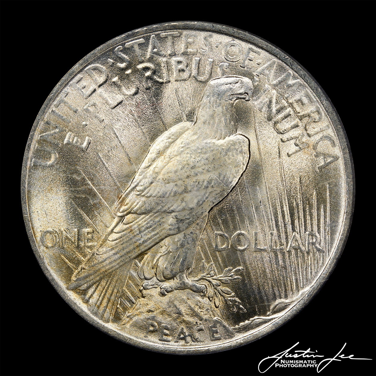 1923-Peace-Dollar-Reverse.jpg