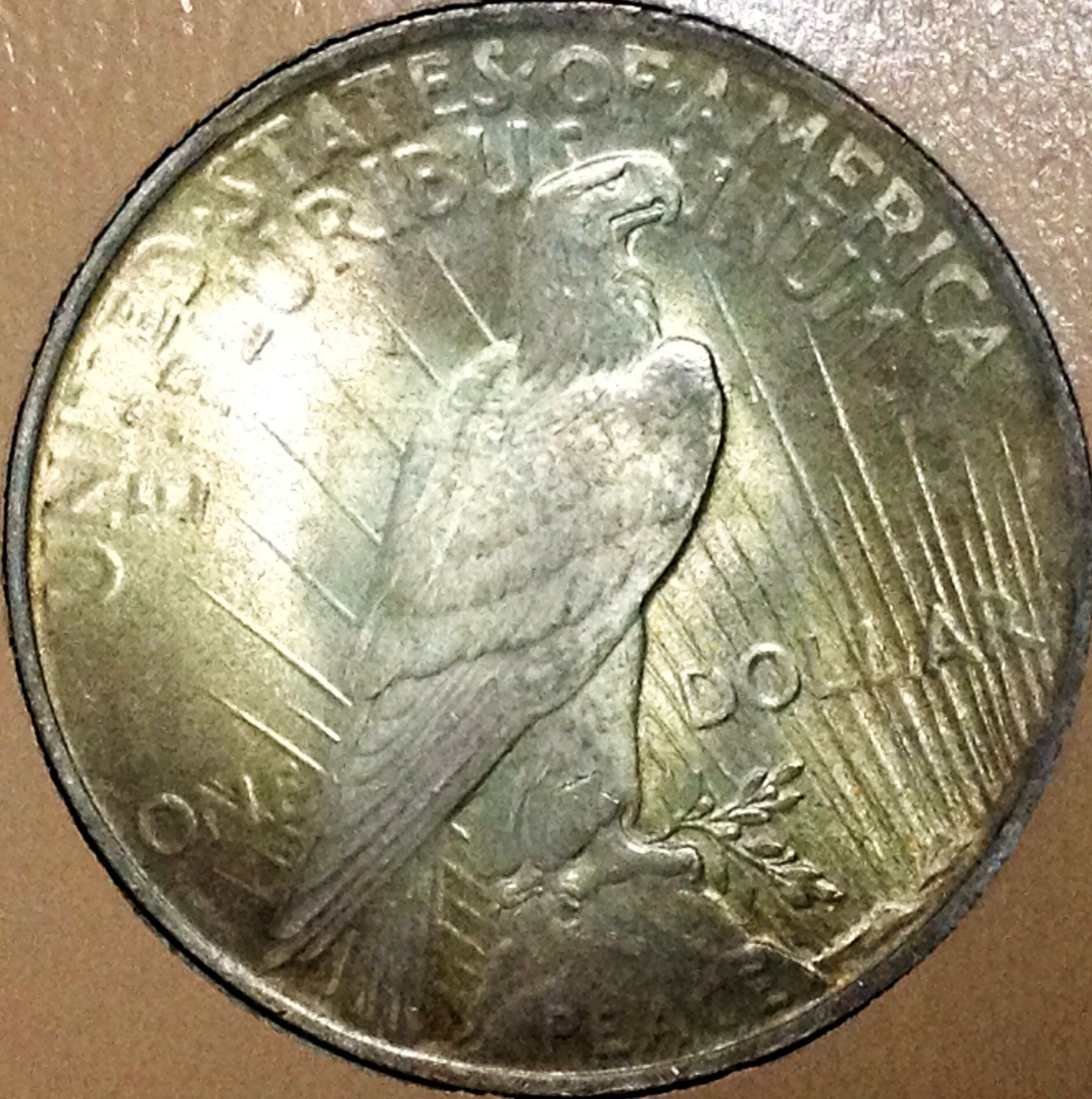 1923 Peace Dollar reverse.jpg