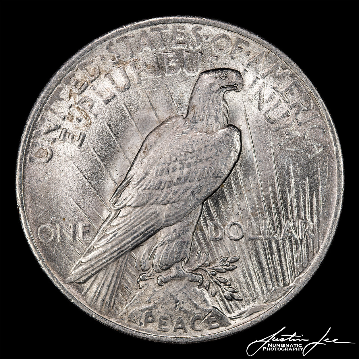 1923-Peace-Dollar-Reverse.jpg