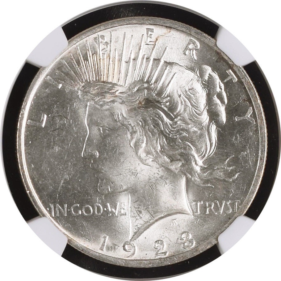 1923 Peace Dollar severe scratches.jpg