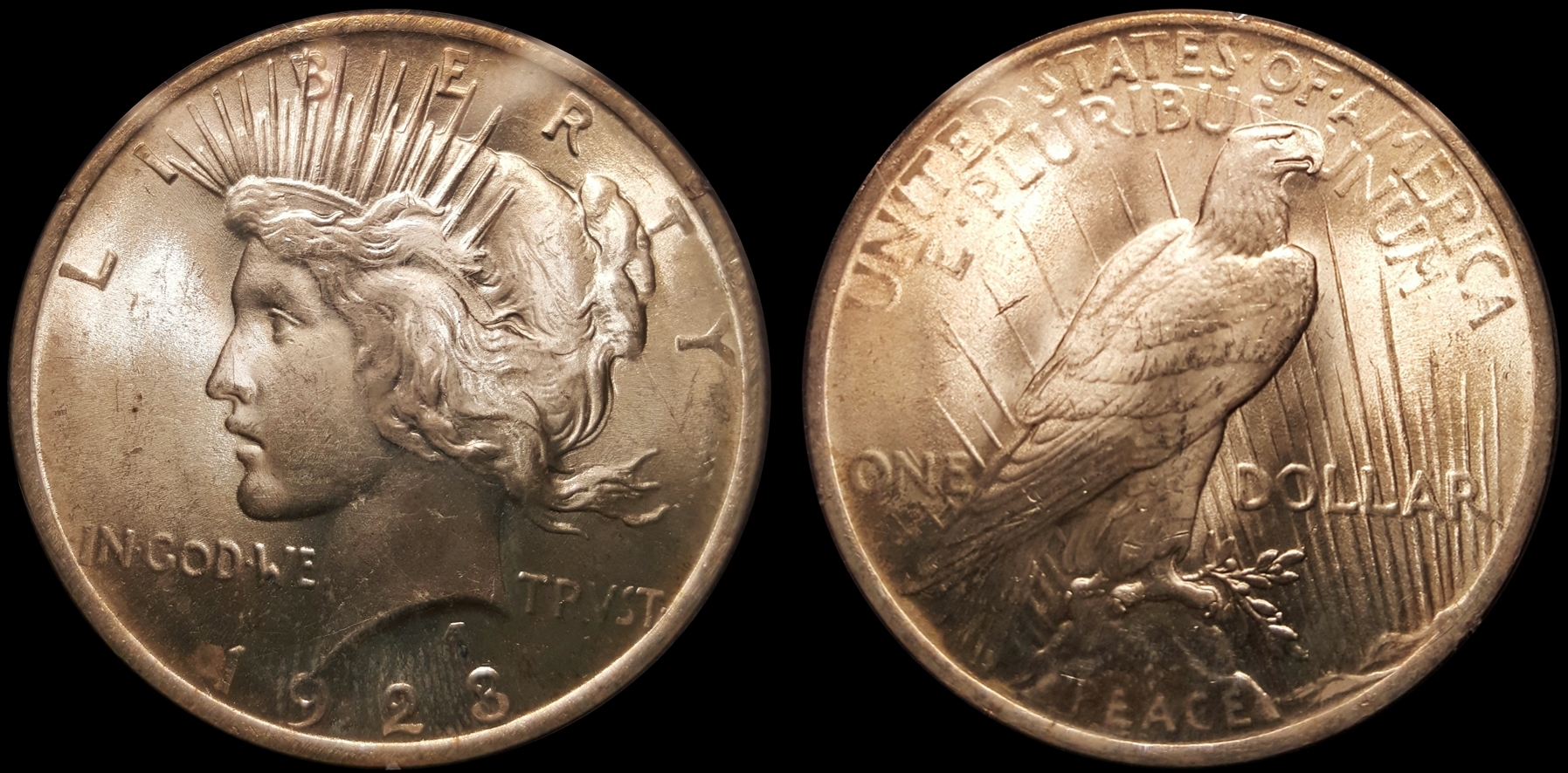 1923 Peace PCGS MS63.jpg