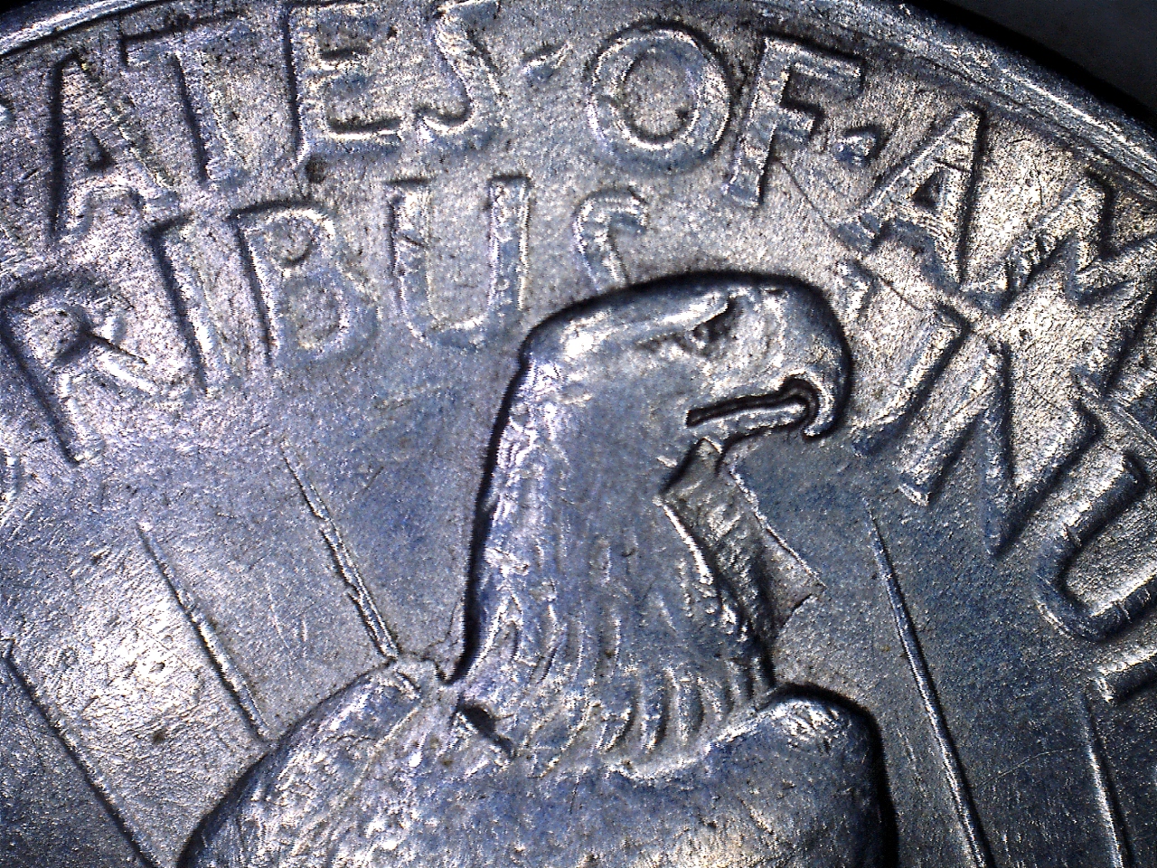 19231.jpg