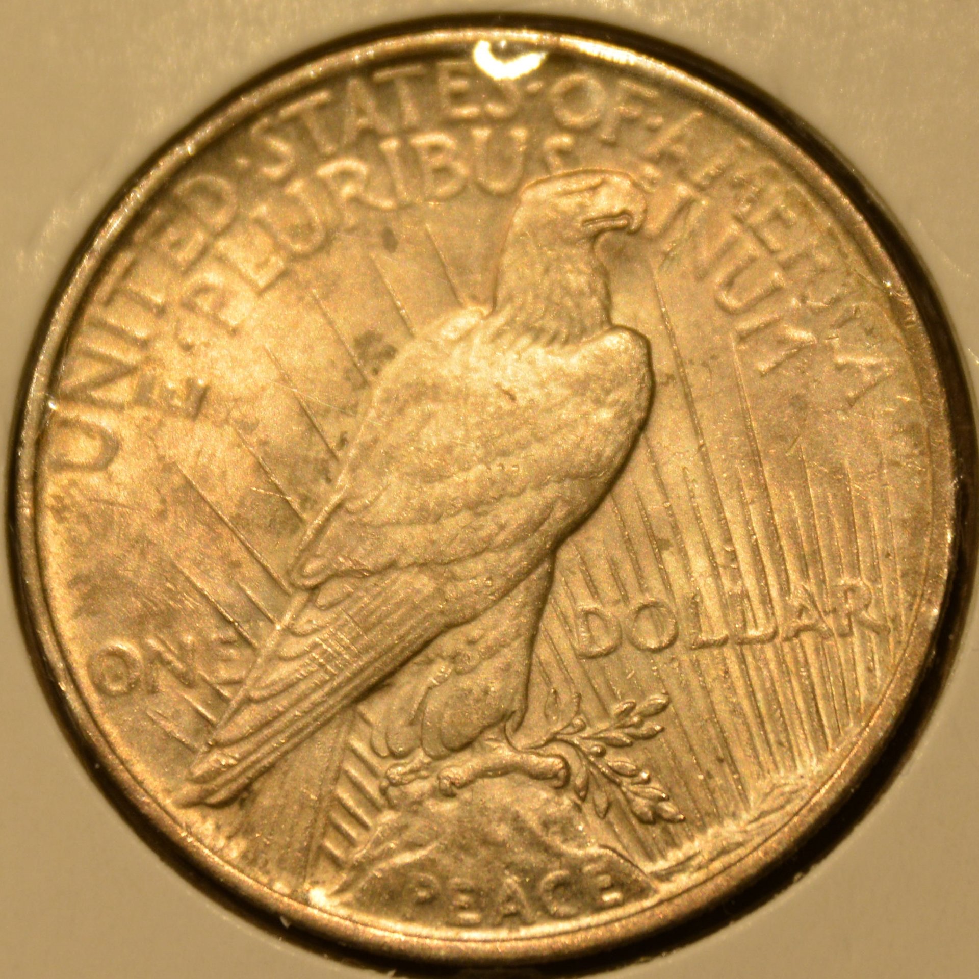 1923r1.jpg