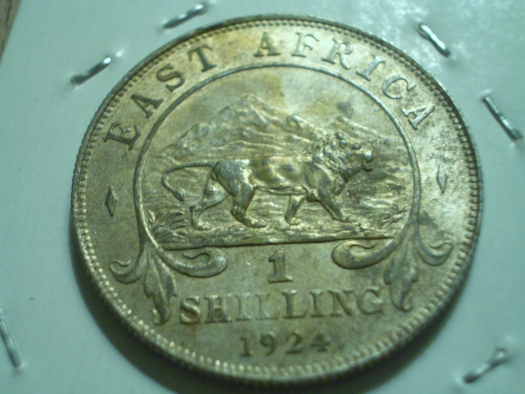 1924 1s South Africa F Rev 2014.JPG