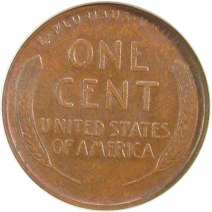 1924-D ANACS R.JPG
