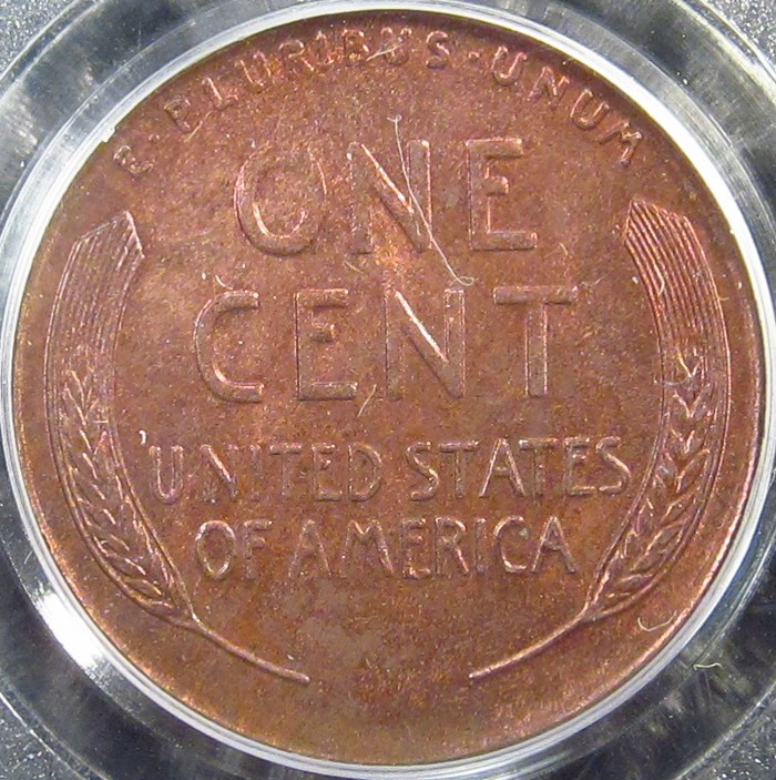 1924-D PCGS R.JPG