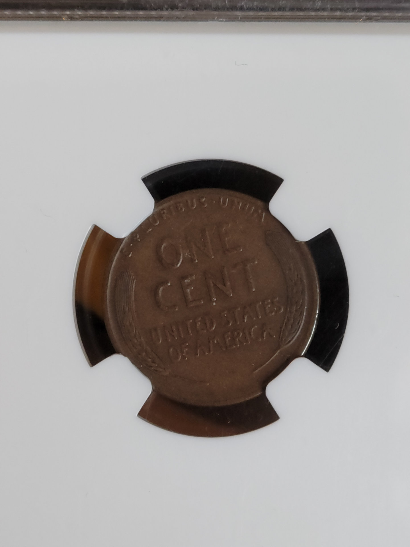 1924 d wheat reverse.jpg