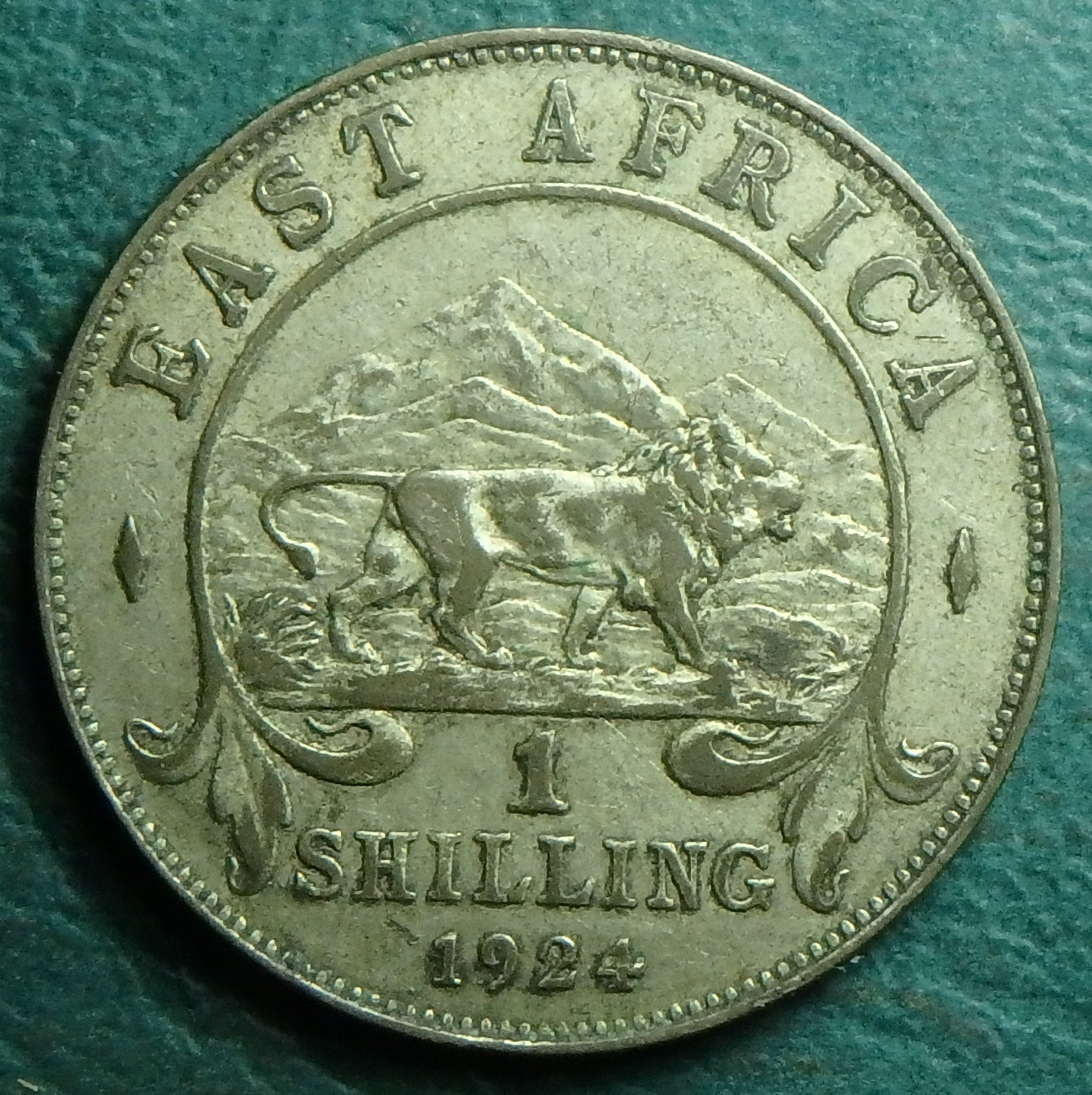 1924 EA shilling rev.JPG