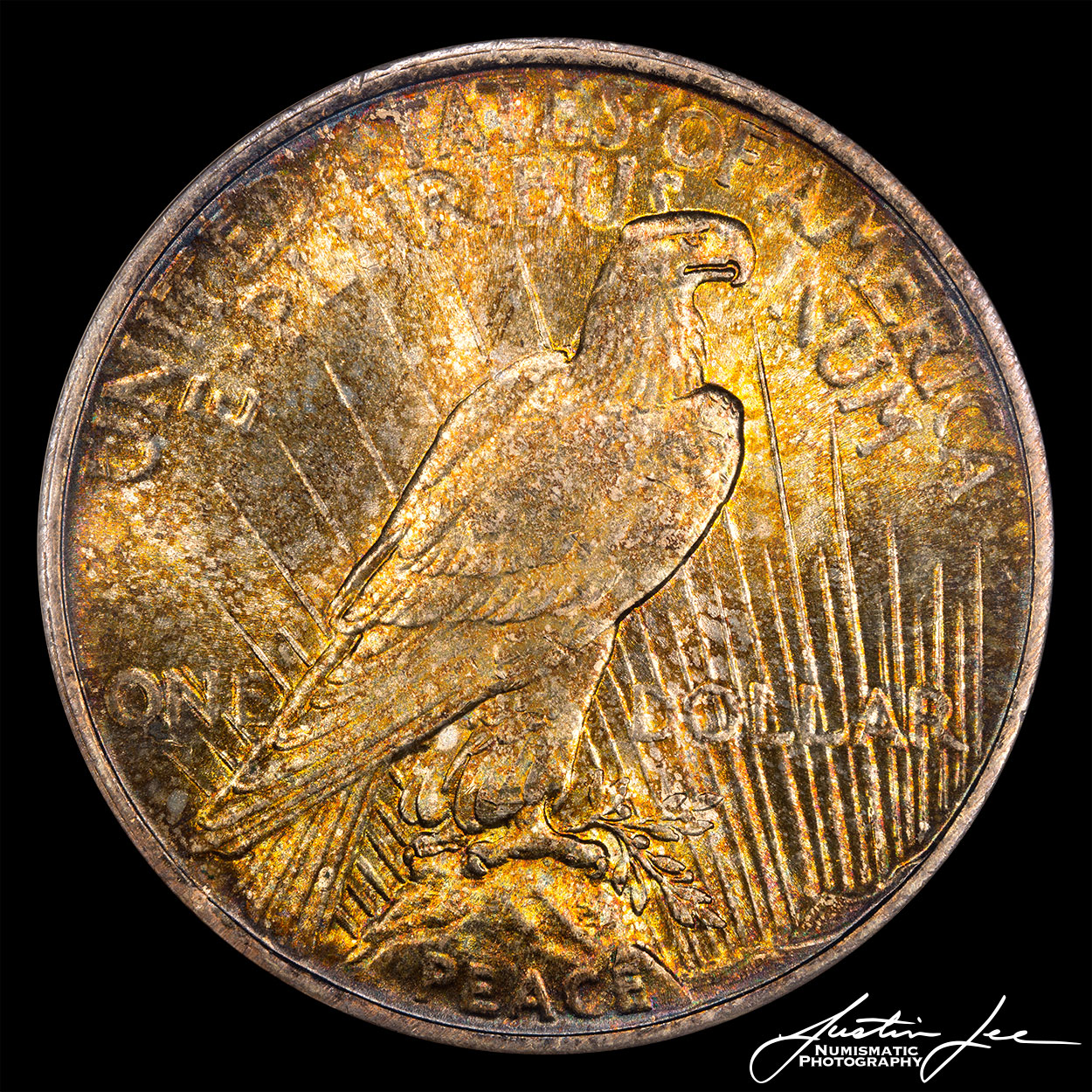 1924-Peace-Dollar-Reverse.jpg