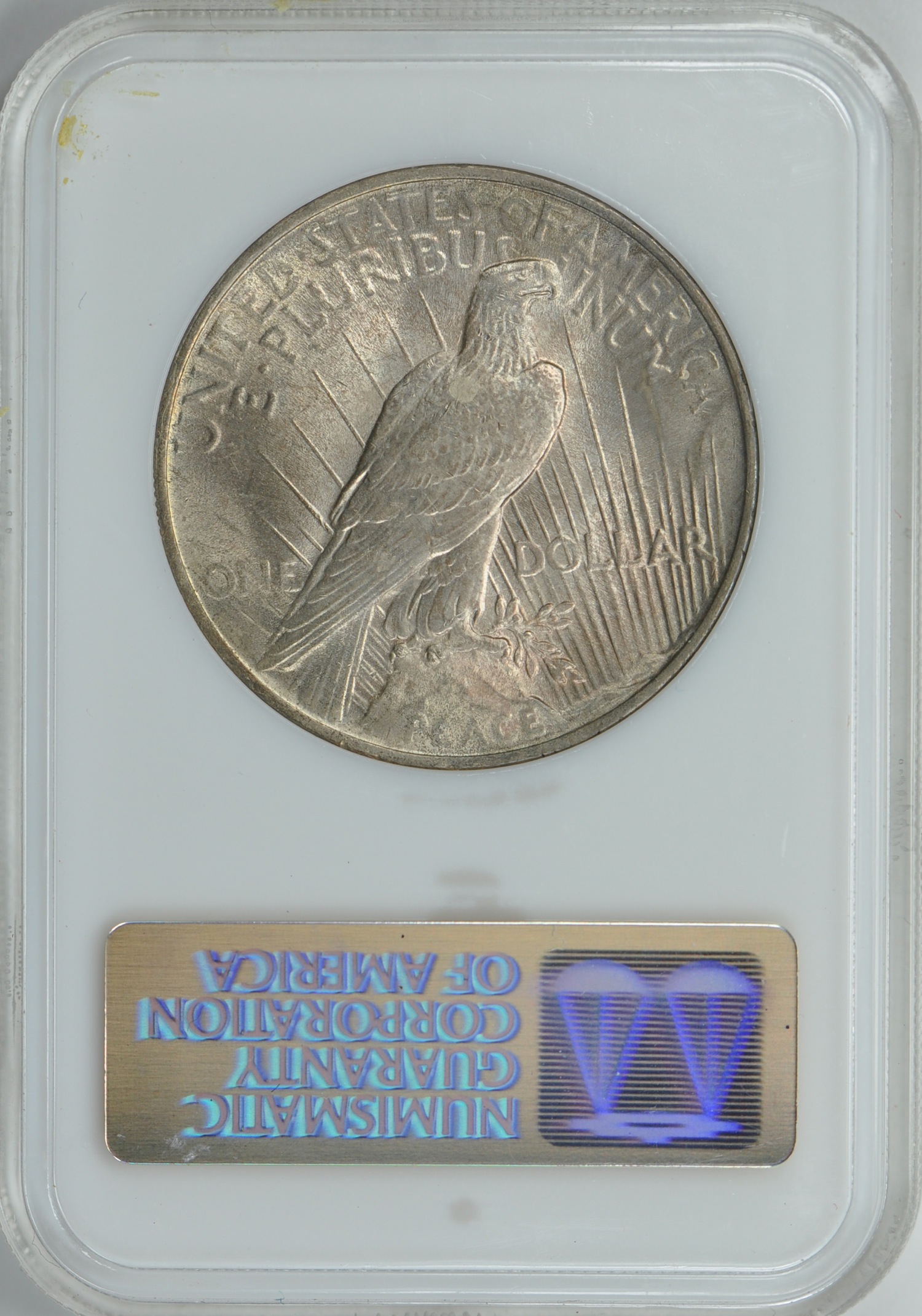1924 S$1 Rev Slab.jpg