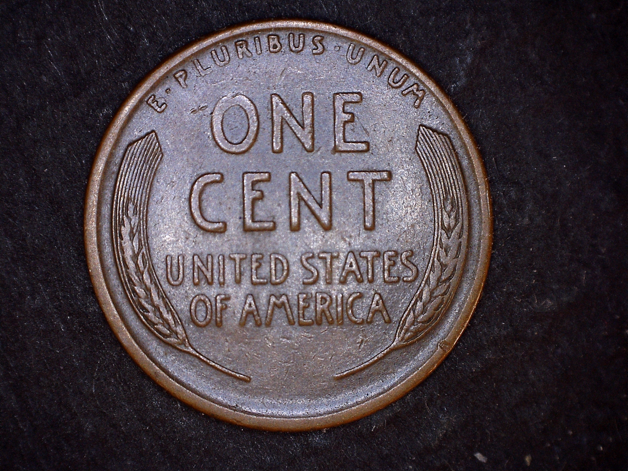 1924D r.jpg