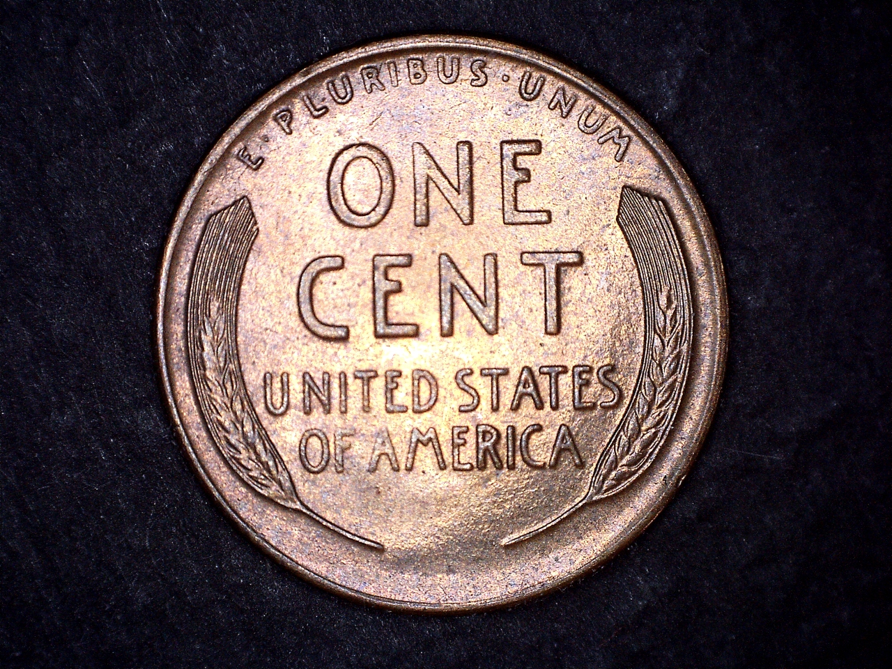 1924D r.jpg