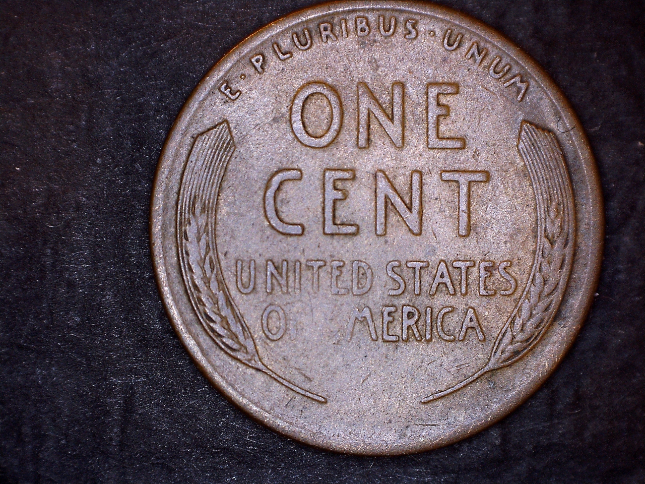 1924D r.jpg