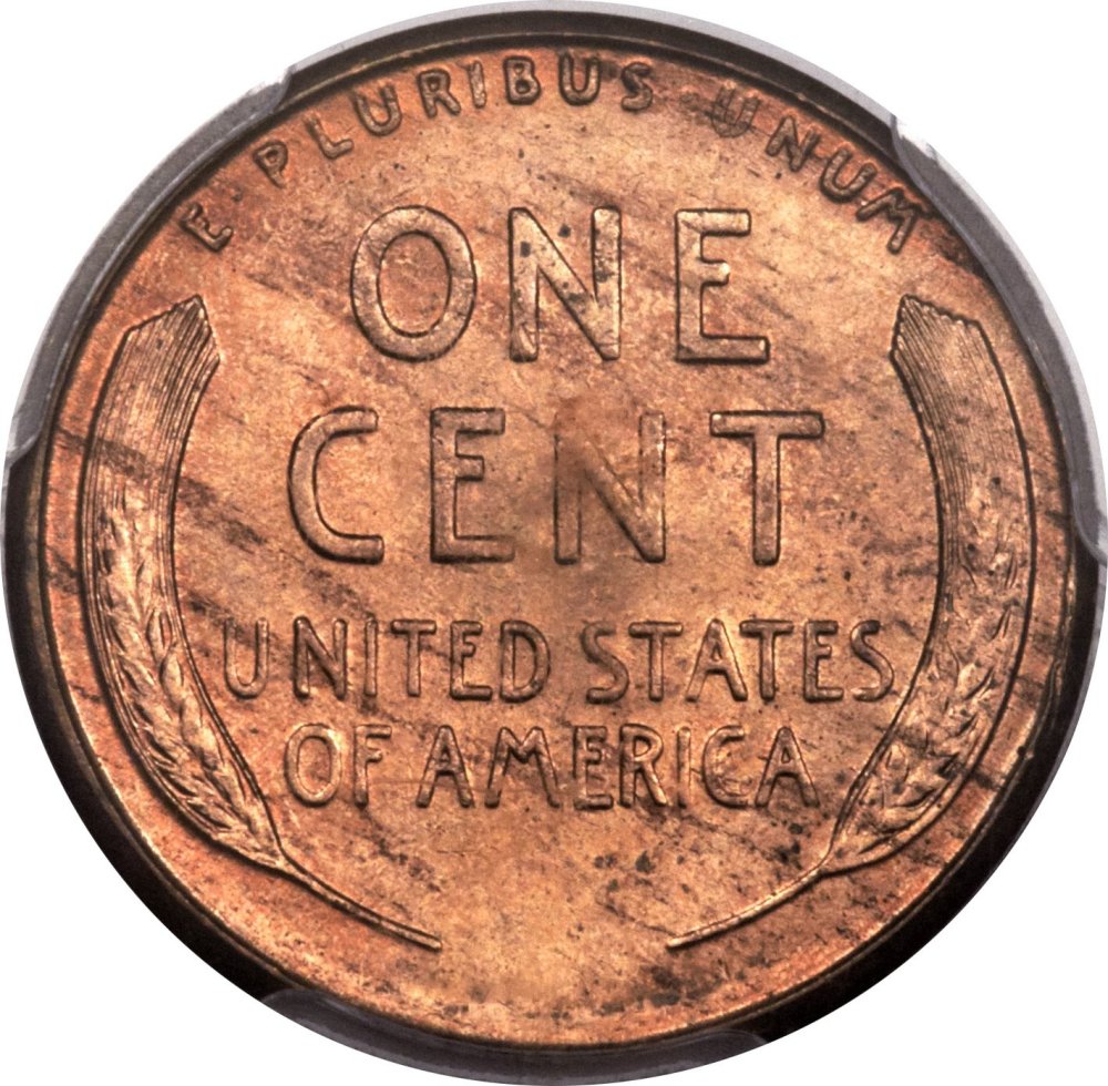 1924S+PCGS_MS64RD_rev.jpg