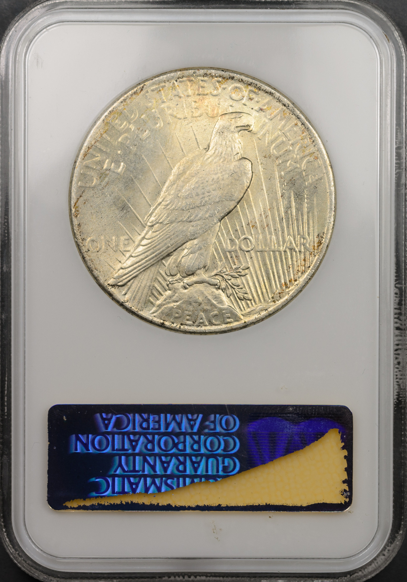 1925 $1 Rev Slab.jpg