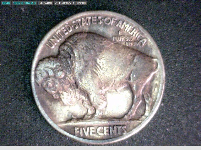 1925 Buffalo rev..jpg
